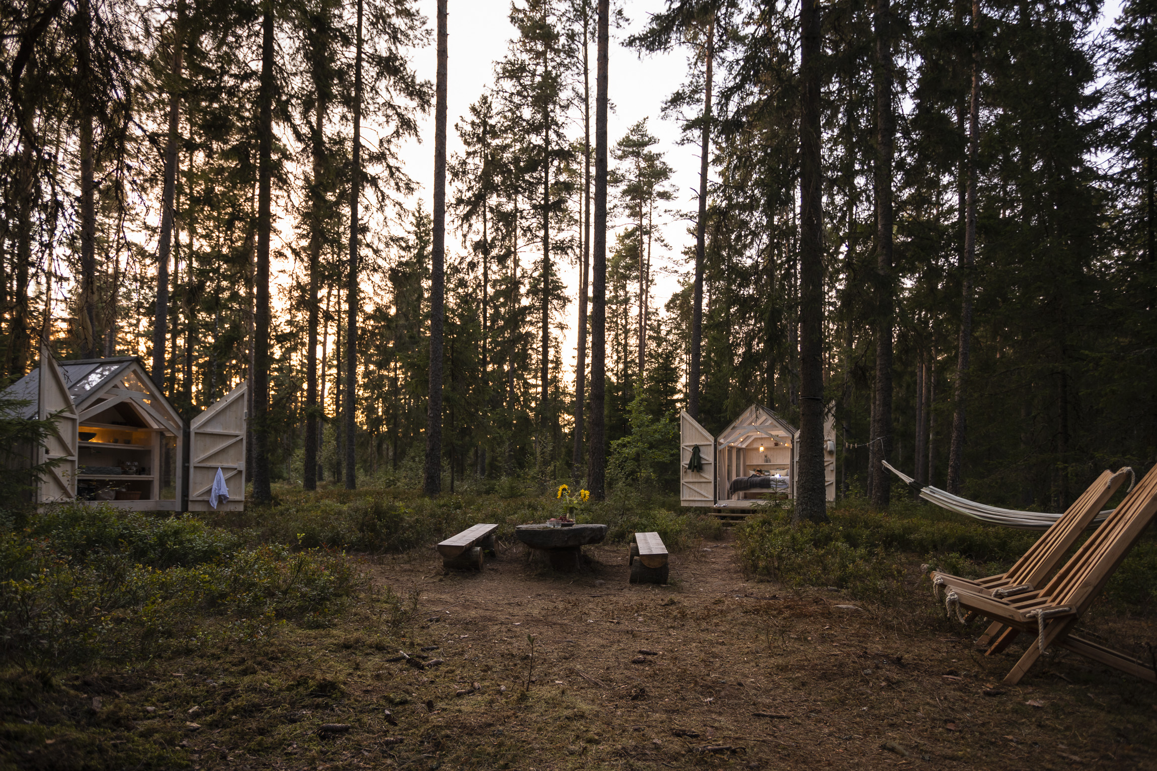 Boende i total avskildhet från omvärlden omringad av skogen
